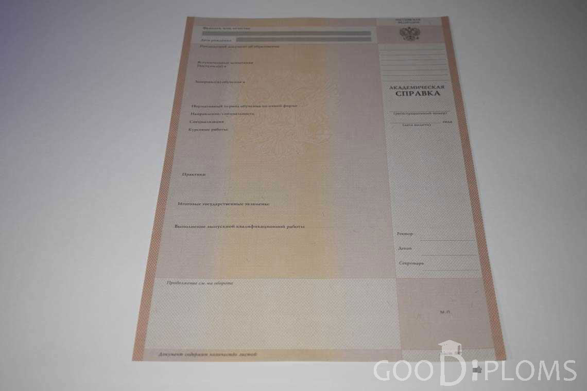 Академическая Справка Вуза период выдачи 1996-2009 -  Омск